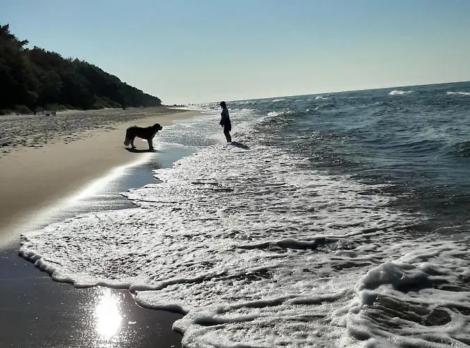 Διαμέρισμα Marinero