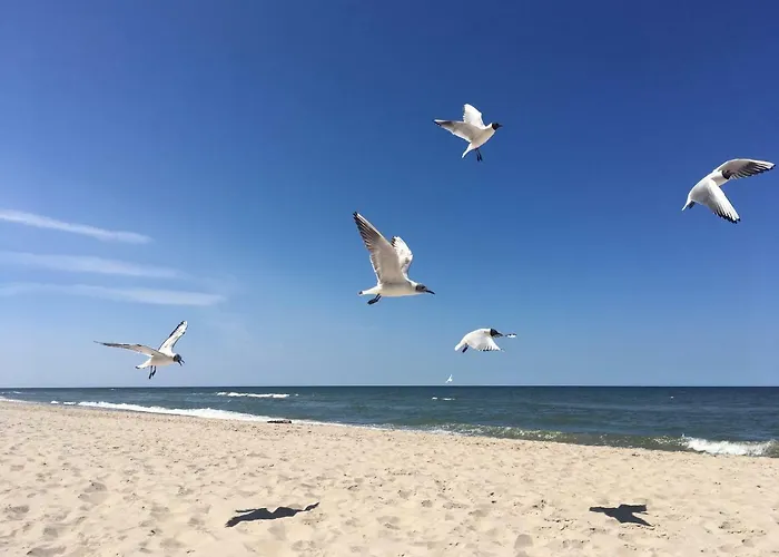 Marinero Διαμέρισμα Łukęcin